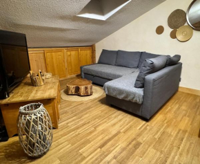Appartement cosy proche Châtel Portes du soleil - linge inclus